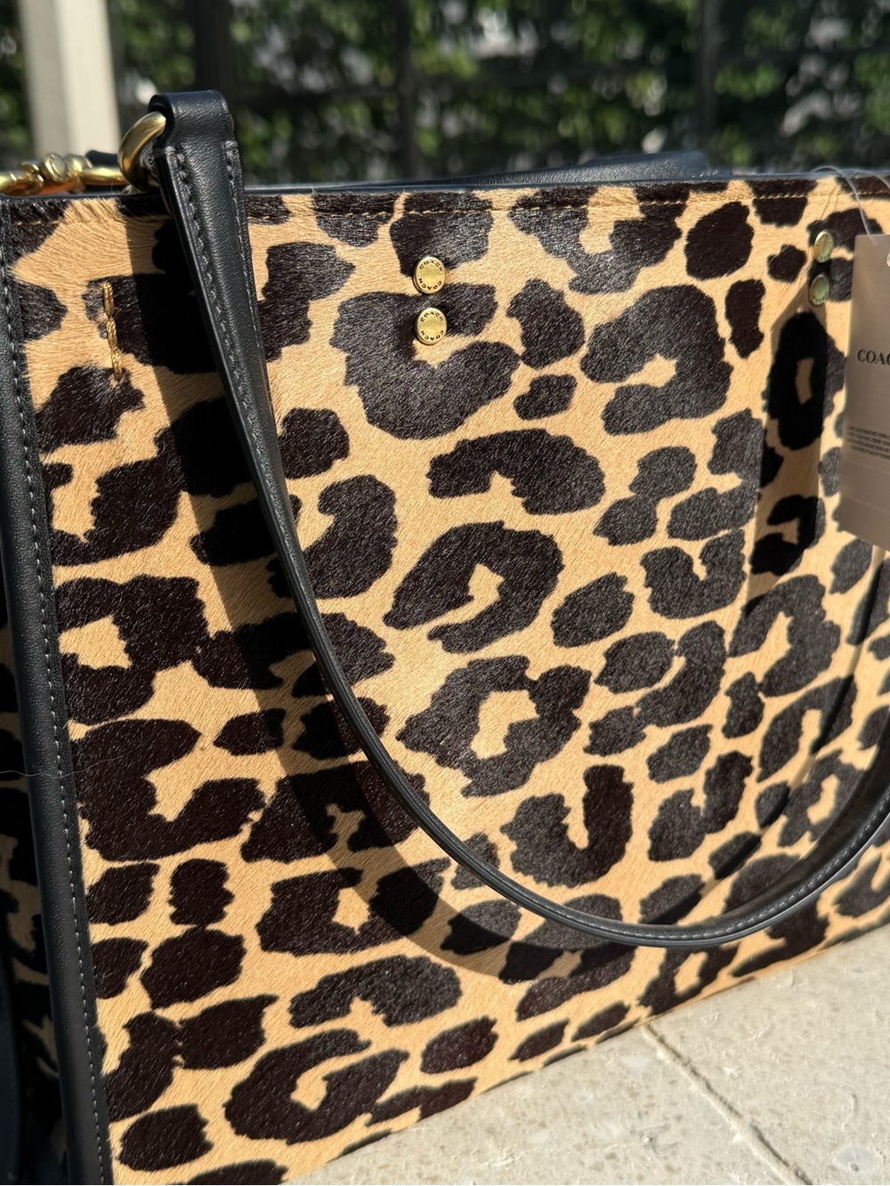 NWT Coach 1941 Rogue 30 Leopard Haircalf Glovetanned Leather CN980 Rare - Picture 2 of 8